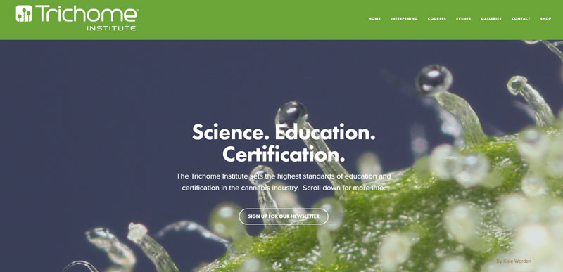 trichome-institute-1